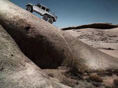 Bewusst eingesetzte Aggression 